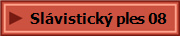 Slvistick ples 08